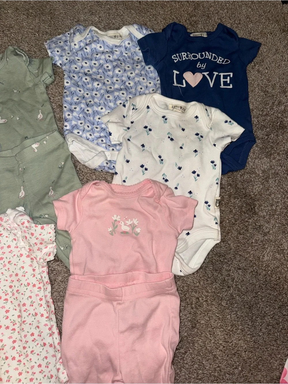 Baby Girl Bundle of Onesies